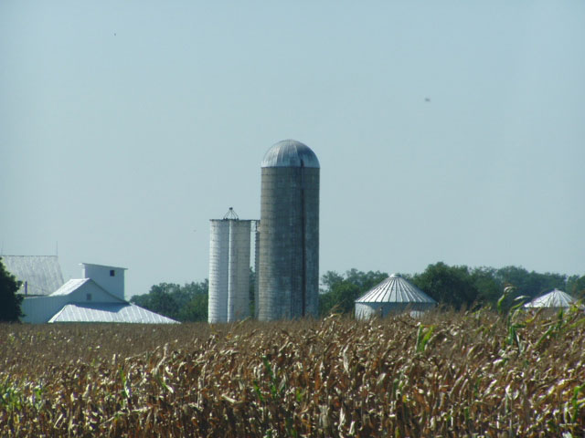 A rural farm