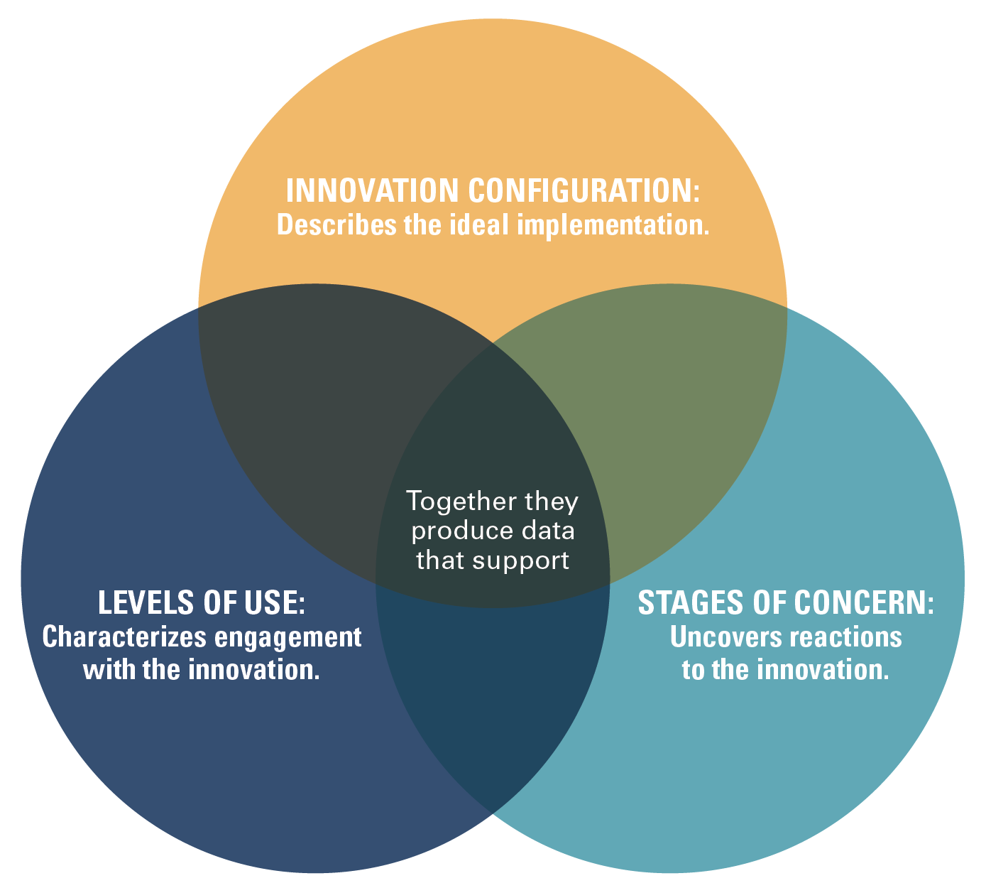 The Three Key Idea in The Concerns-Based Adoption Model