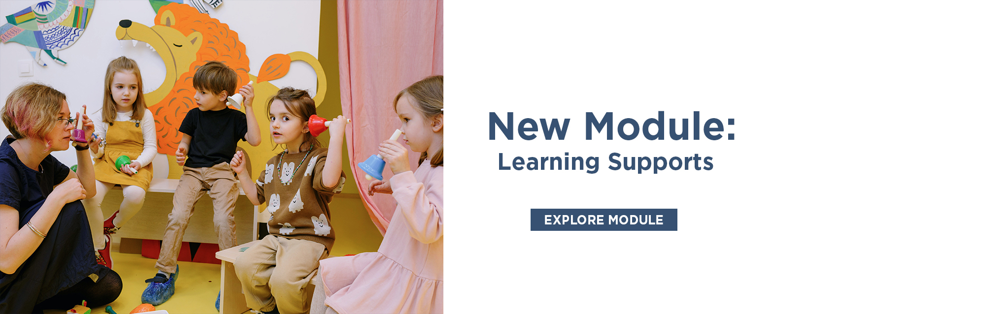 New Module: Learning Supports